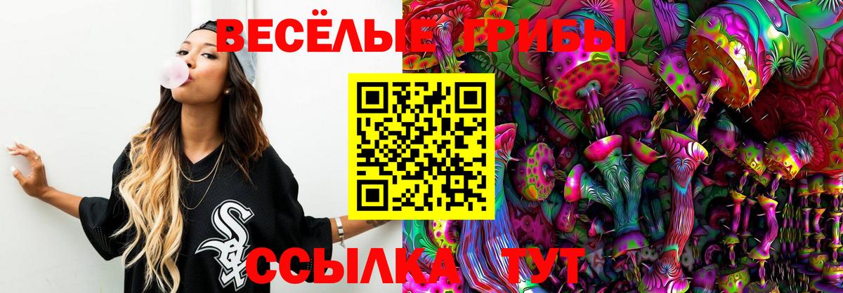 Меф Краснодар